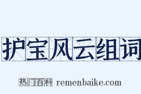 护宝风云组词是什么意思的图片
